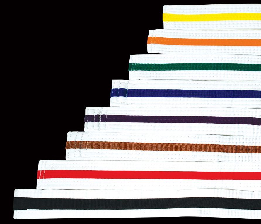 tiger-coloured-belts-taekwondo-brisbane-hapkido-brisbane-kumdo-brisbane-self-defence